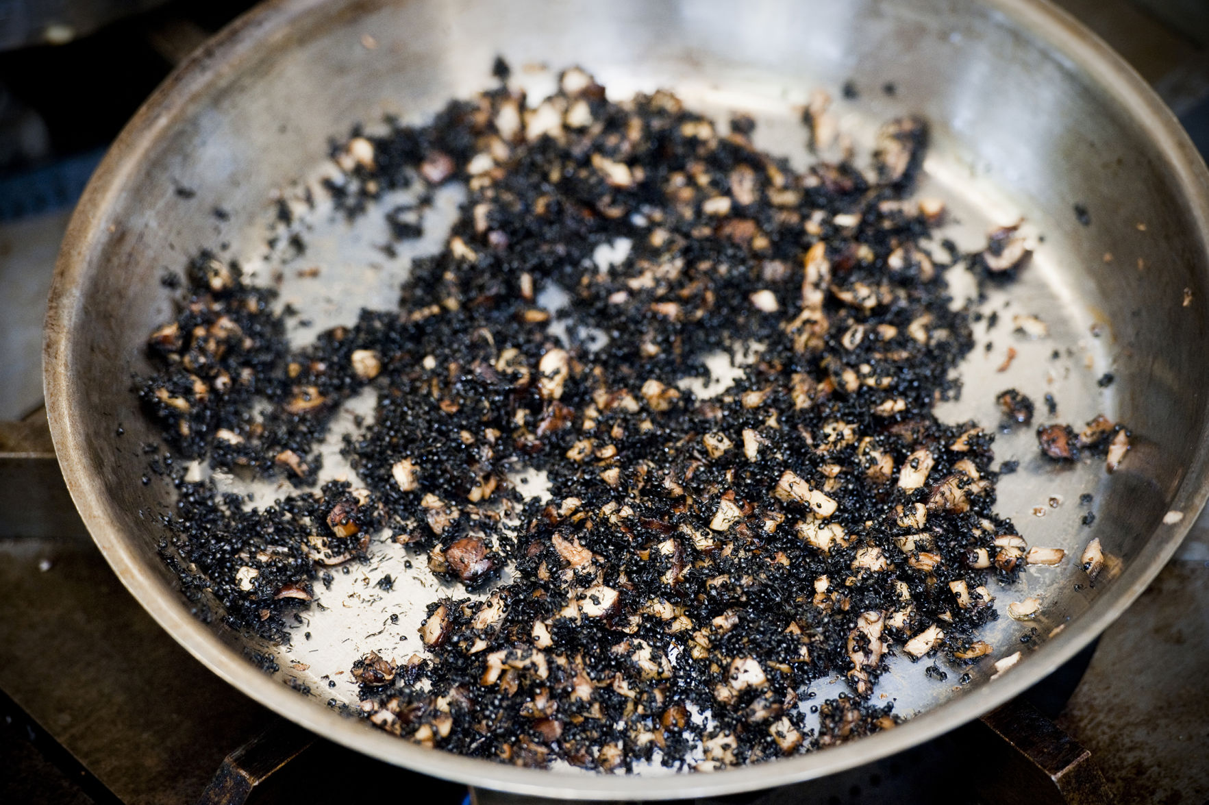 Mushroom and black ant risotto